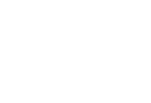 Flota Trans Express MA
